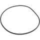 O-Ring, Waterco Trimline, Tank Lid : WC62021