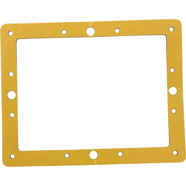 Gasket, Astral, SMALL SKIMMER : 4402011611