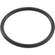 O-Ring, WW No-Flo Gate Valve, 1-1/2", Union, OEM : 805-0224