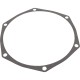 Gasket, Pentair Sta-Rite DS3 Series, Seal Plate, 1.0hp/1.5hp : C20-86