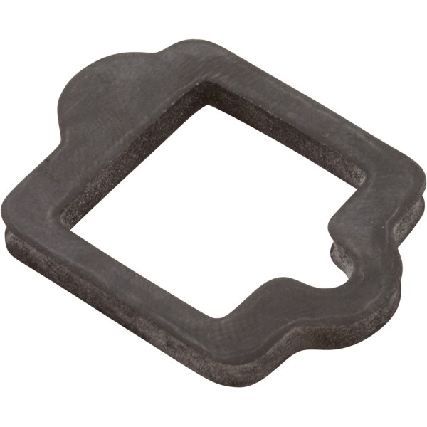 Gasket, Pentair IntelliFlo VS, Drive : 350108