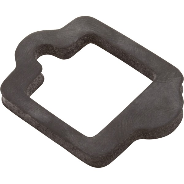 Gasket, Pentair IntelliFlo VS, Drive : 350108
