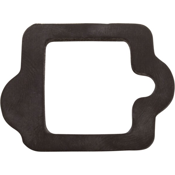 Gasket, Pentair IntelliFlo VS, Drive : 350108