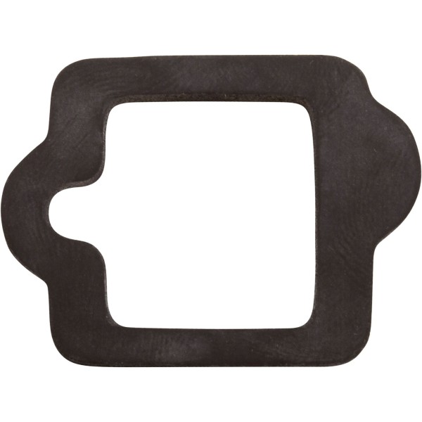 Gasket, Pentair IntelliFlo VS, Drive : 350108