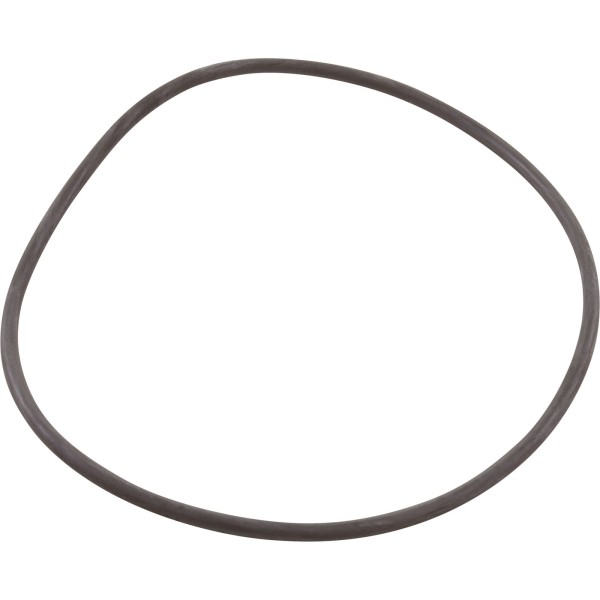O-Ring, Astral Pump Strainer, Lid : 4405010437