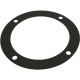 Gasket, AquaFlo AC, Volute, 6-1/4"ID, 7-13/16"OD, Generic : G-3