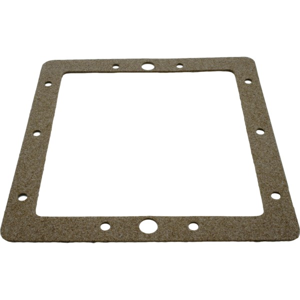 Gasket, Pentair American Products FAS Skimmer, Faceplate, Back : 85003300