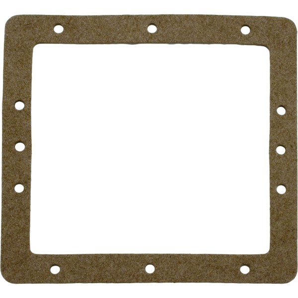 Gasket, Pentair American Products FAS Skimmer, Faceplate, Front : 85003400