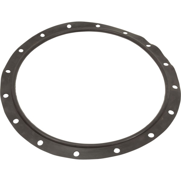 Gasket, Lid, Astral, Vert Filters 47"/55"/63"/71"/79"/93" : 723R4140120