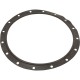 Gasket, Lid, Astral, Vert Filters 47"/55"/63"/71"/79"/93" : 723R4140120
