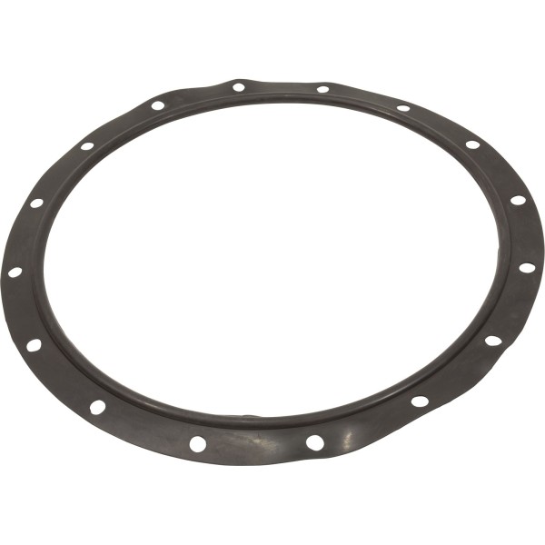 Gasket, Lid, Astral, Vert Filters 47"/55"/63"/71"/79"/93" : 723R4140120