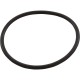 O-Ring Kit, Magic Plasitcs, 2", Union, Quantity 12 : 0301-230-12