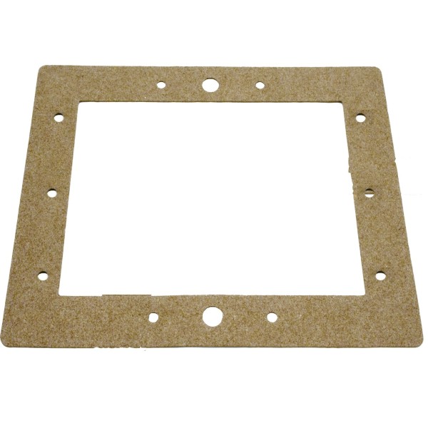 Gasket, SP1090 Above Ground Standard, Face Plate, Generic :