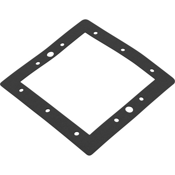 Gasket, SP1094 Above Ground Standard, Face Plate, Generic :