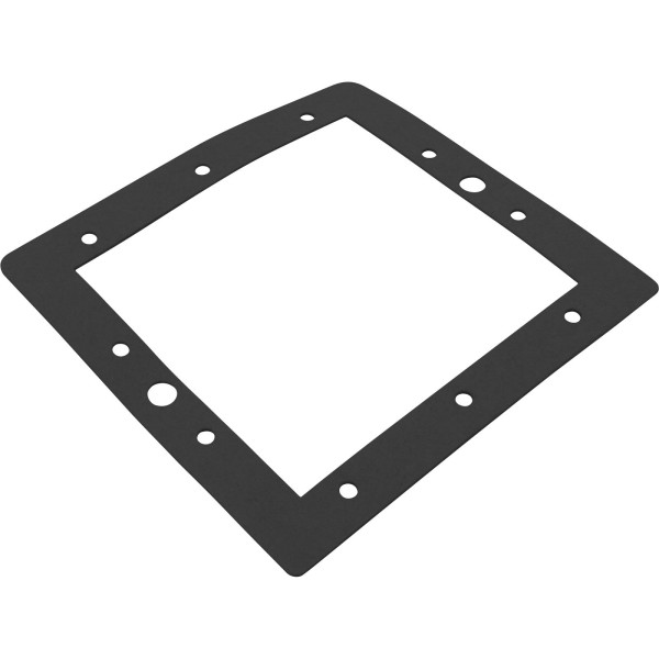 Gasket, SP1094 Above Ground Standard, Face Plate, Generic :
