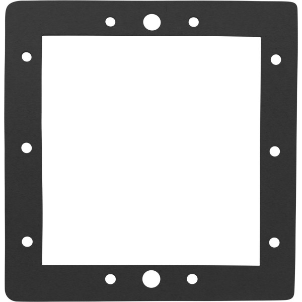 Gasket, SP1094 Above Ground Standard, Face Plate, Generic :