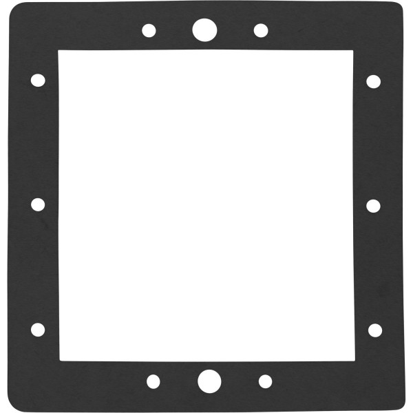 Gasket, SP1094 Above Ground Standard, Face Plate, Generic :