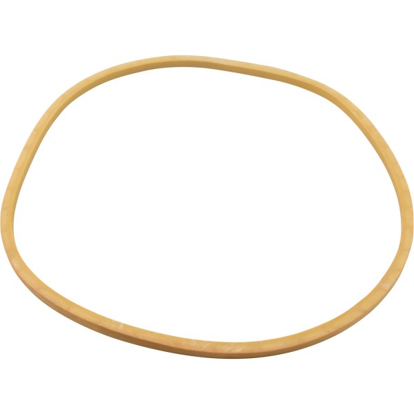 Gasket, American Prod Separtaion Tank, Lid, Generic :