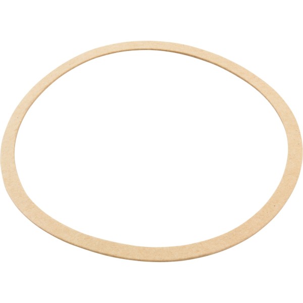 Gasket, Sta-Rite CK Pump, Seal Plate, Generic :