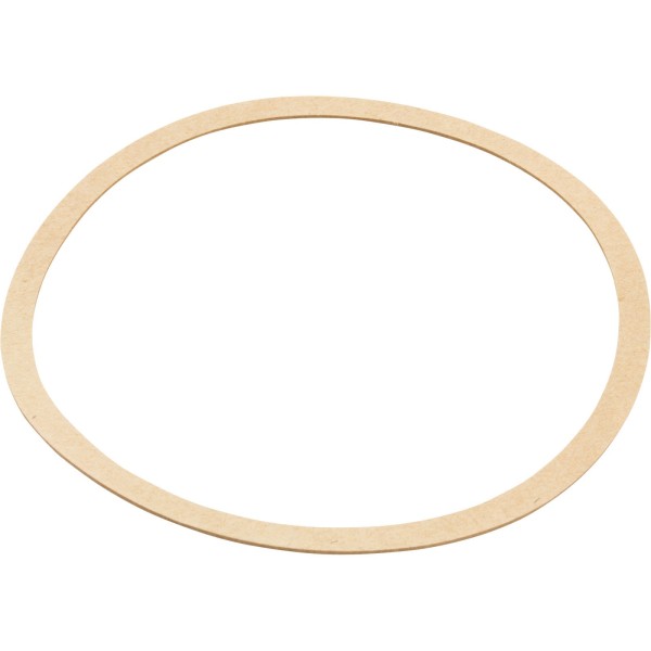 Gasket, Sta-Rite CK Pump, Seal Plate, Generic :