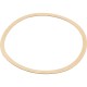 Gasket, Sta-Rite CK Pump, Seal Plate, Generic :