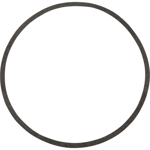Gasket, Sta-Rite N20-39, Pump, G-52 : G-52