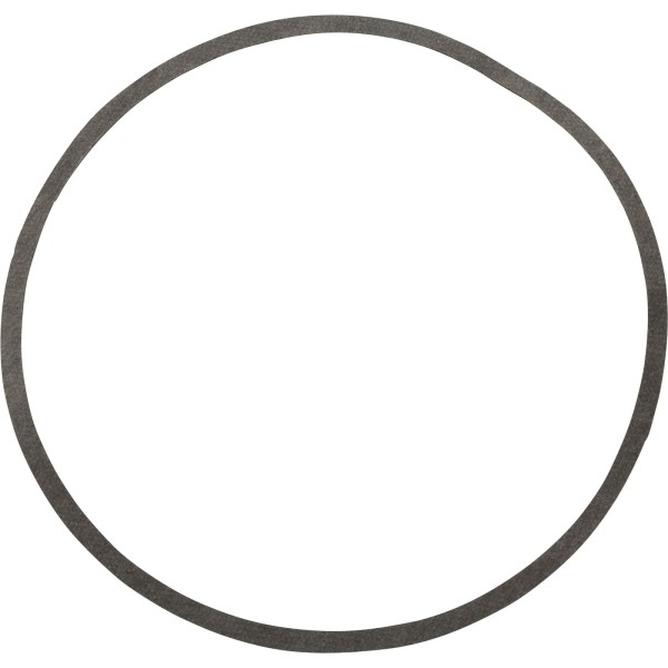 Gasket, Sta-Rite N20-39, Pump, G-52 : G-52