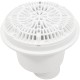 Gunite Pool Main Drain (2In Thread So, 2In Thread Bo) Galaxy : 25519-000-000