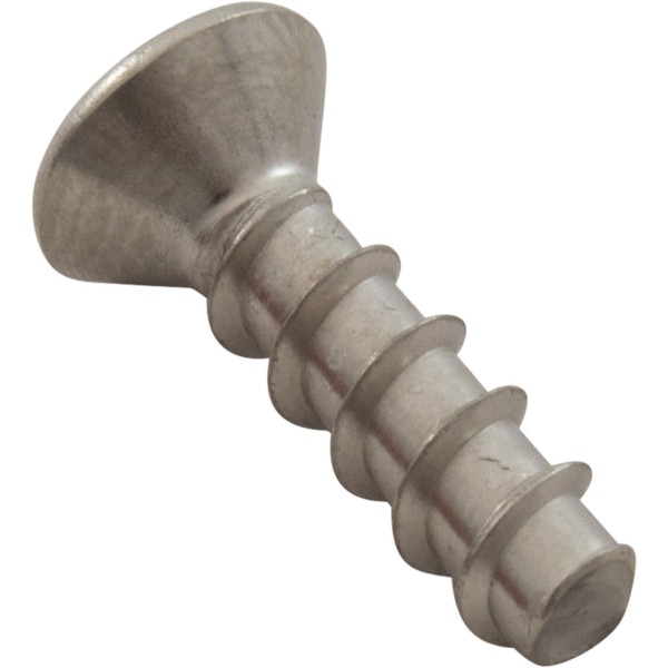 Screw, Hayward WG1153AV Grate, Quantity 2 : SPX1425Z32