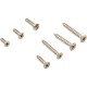 Screw, Triodyne Main Drain, Anti Hair Snare, Quantity 14 : SCR014