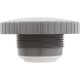 Rain Massage Spa Jet Internal 1-1/2" Gray : 23315-341-000