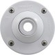 Eyeball Inlet, Pentair, 1-1/4", Gunite, White : 08428-0001