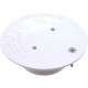 Inlet Cover Plate, Sta-Rite, White, 2" mpt, Generic : 25527-100-100