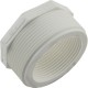 Reducer, Pentair PacFab Challenger, 2"mpt x 1-1/2"fpt : 552377