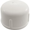 Cap, Lasco, 2-1/2" Slip : 447-025