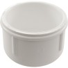 Cap, Lasco, 2-1/2" Slip : 447-025