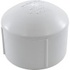 Cap, Lasco, 3" Female Pipe Thread : 448-030