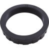 Bulkhead Nut, Waterco Micron SM, 2" : W02567