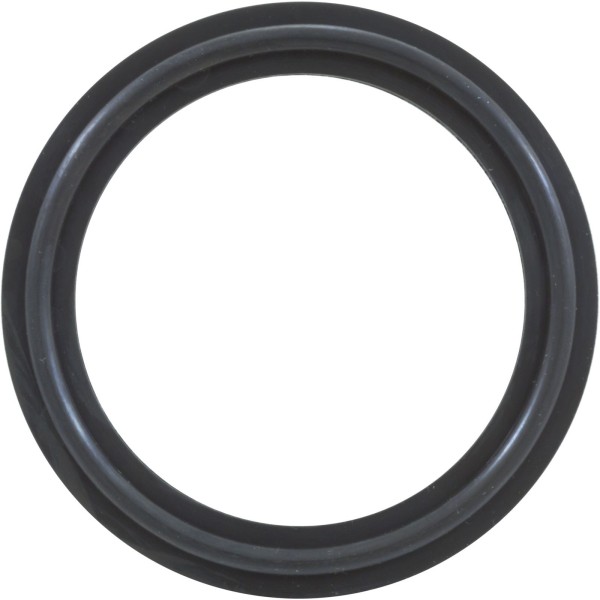 O-Ring/Gasket, Magic 2", Heater, Black : 0301229WSINGLE