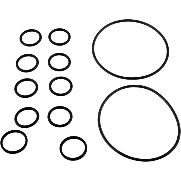 O-Ring Kit, Zodiac Jandy NeverLube Backwash Valve : R0552400
