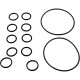 O-Ring Kit, Zodiac Jandy NeverLube Backwash Valve : R0552400
