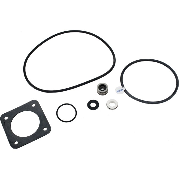 Seal Kit, Pentair Sta-Rite DuraGlas, Pre 1998 : PP1000