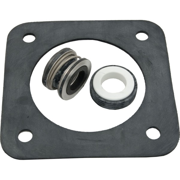 Seal Kit, Pentair Sta-Rite DuraGlas : PP1200
