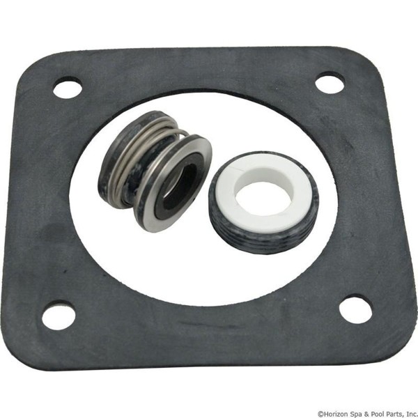 Seal Kit, Pentair Sta-Rite DuraGlas : PP1200