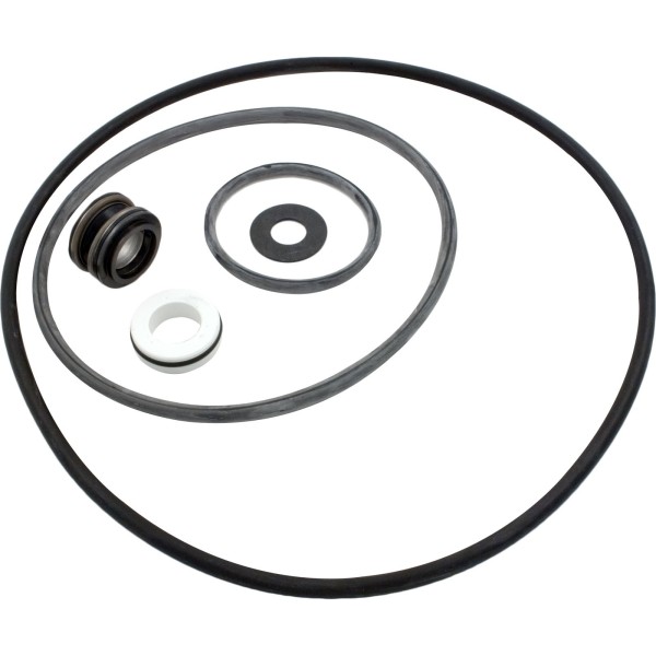 Seal Kit, Pentair Sta-Rite DuraGlas II, Pre 1998 : PP4000
