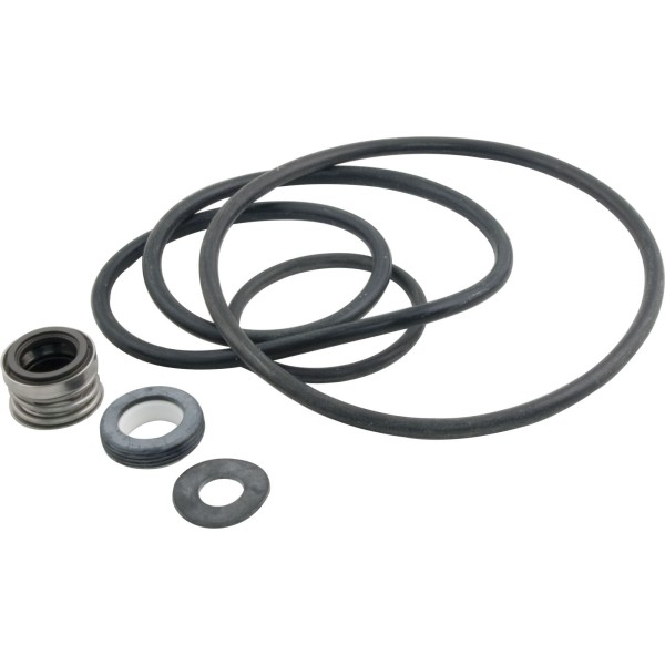 Seal Kit, Pentair Sta-Rite DynaGlas, DynaPro, DynaJet : PP3000