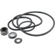 Seal Kit, Pentair Sta-Rite DynaGlas, DynaPro, DynaJet : PP3000