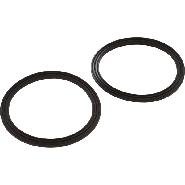 Union Seal, Pentair IntelliFloXF, 2-1/2", Quantity 2 : 410016Z