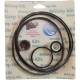 Pump Rebuild Kit 46, Pac Fab Dynamo Pump : 65046