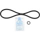 Ro-Kit 232, Jacuzzi CFR 25 In-Line Filter : RO-KIT 232